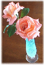 rose on a table 